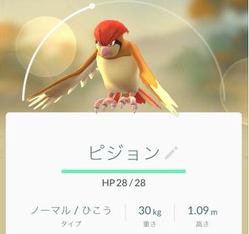 【ポケモンGO】ポッポを進化させてレベル上げ!
