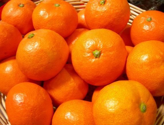 みかんを食べると風邪予防になる?栄養・効果効能・白い筋等まとめ